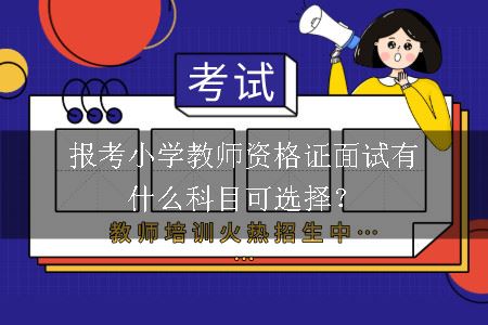 报考小学教师资格证面试有什么科目可选择？