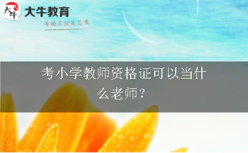 考小学教师资格证可以当什么老师？