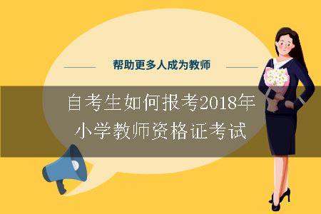 自考生如何报考2018年小学教师资格证考试