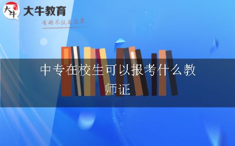 中专在校生可以报考什么教师证