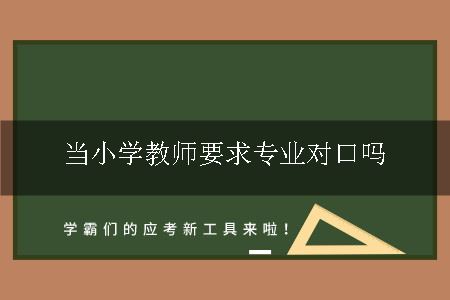 当小学教师要求专业对口吗