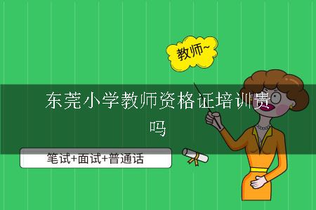 东莞小学教师资格证培训贵吗