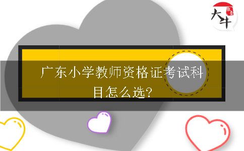 小学教师资格证考试科目