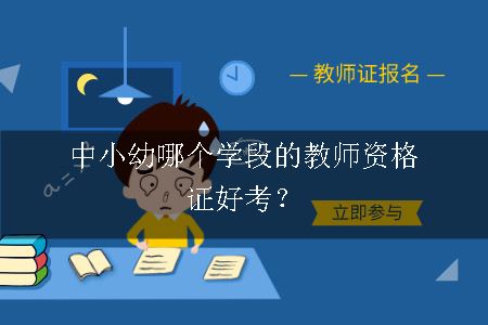 中小幼学段教资