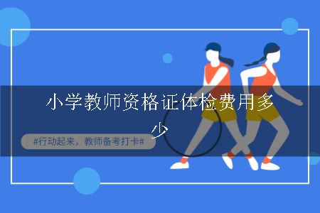 小学教师资格证体检要钱吗