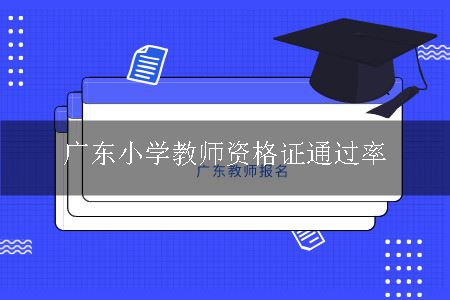 广东小学教师资格证通过率
