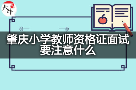 肇庆小学教师资格证面试