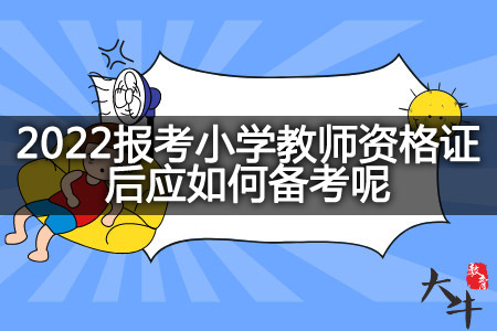 2022报考小学教师资格证