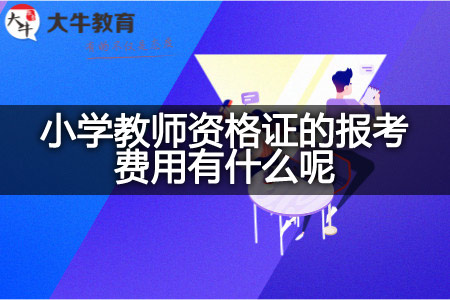 小学教师资格证报考