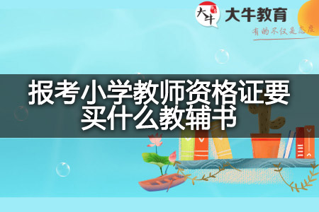 报考小学教师资格证