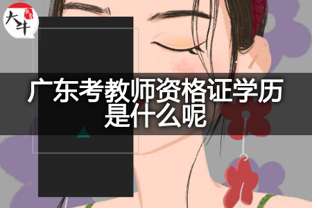 广东考教师资格证学历