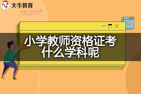 小学教师资格证考学科