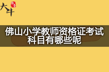 佛山小学教师资格证考试科目