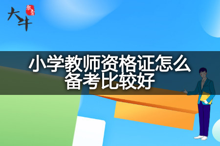 小学教师资格证备考