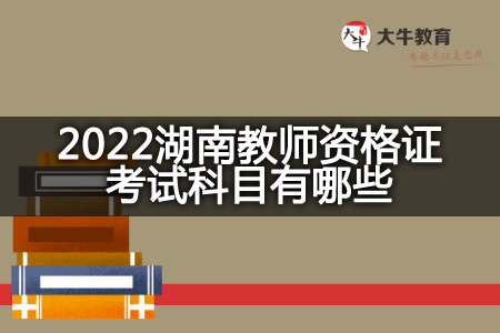 2022湖南教师资格证考试科目
