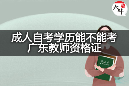 成人自考学历考广东教师资格证