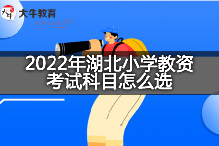 2022年湖北小学教资考试科目