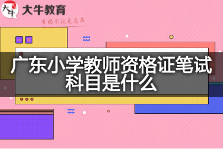 广东小学教师资格证笔试科目