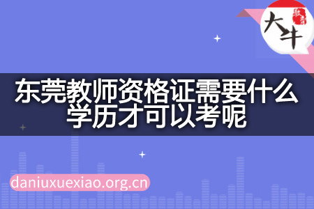 东莞教师资格证学历