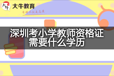 深圳考小学教师资格证学历