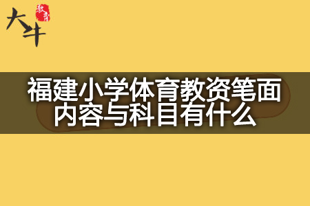 福建小学体育教资笔面