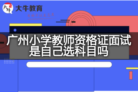 广州小学教师资格证面试