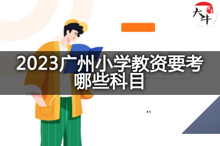 2023广州小学教资科目