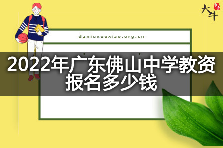 2022年广东佛山中学教资报名