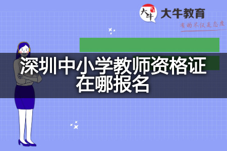 深圳中小学教师资格证报名