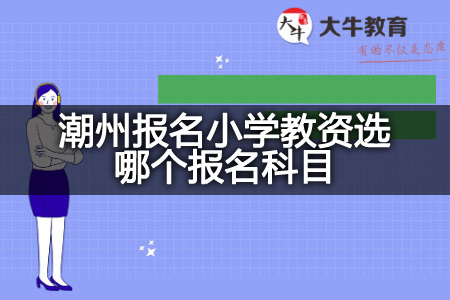 潮州报名小学教资报名科目