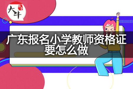 广东报名小学教师资格证