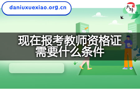 现在报考教师资格证