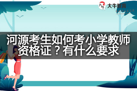 河源考生考小学教师资格证