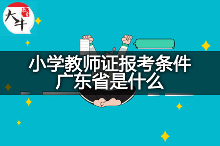 小学教师证报考条件广东省