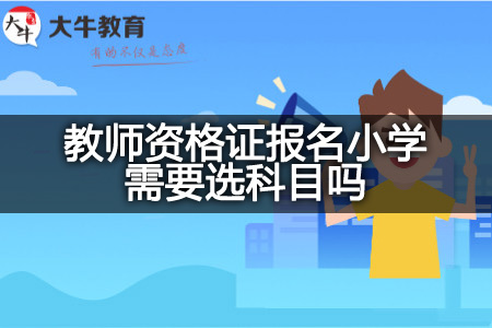 教师资格证报名小学选科目