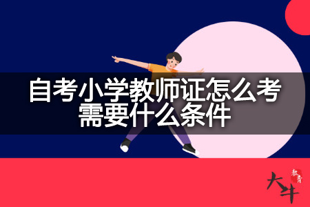 自考小学教师证怎么考