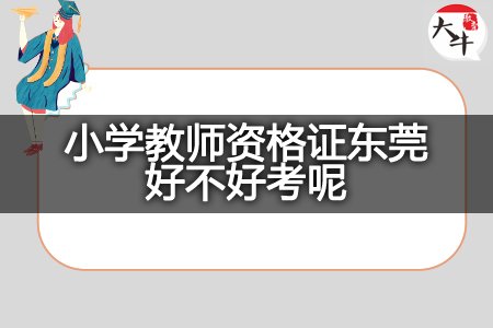 小学教师资格证东莞