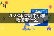 2023年深圳中小学教资考什么？
