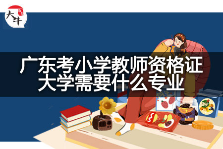 广东考小学教师资格证大学专业