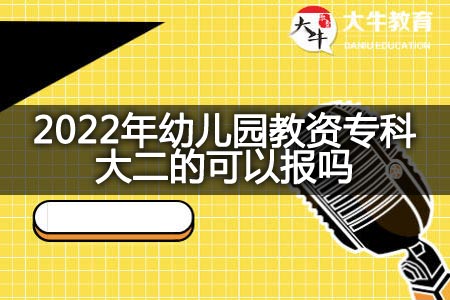 2022年幼儿园教资专科大二