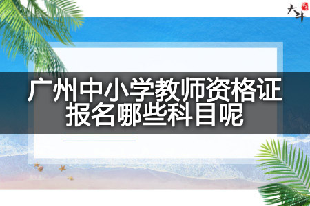 广州中小学教师资格证报名科目