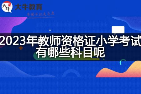 2023年教师资格证小学考试科目