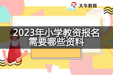 2023年小学教资报名