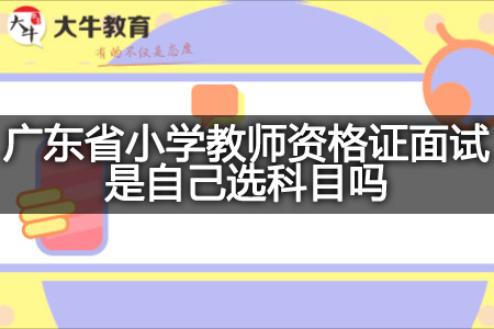 广东省小学教师资格证面试