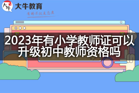 2023年有小学教师证