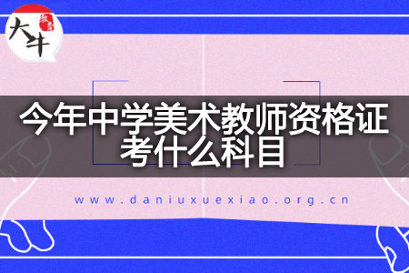 今年中学美术教师资格证科目