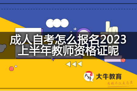 成人自考报名2023上半年教师