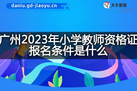 广州2023年小学教师资格证报名条件