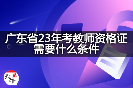 广东省23年考教师资格证条件