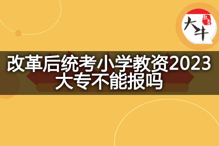 改革后统考小学教资2023大专